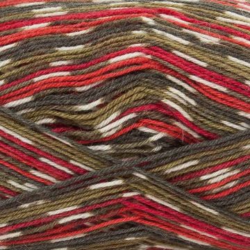 West Yorkshire Spinners Signature 4 Ply Holly Berry 886 100g